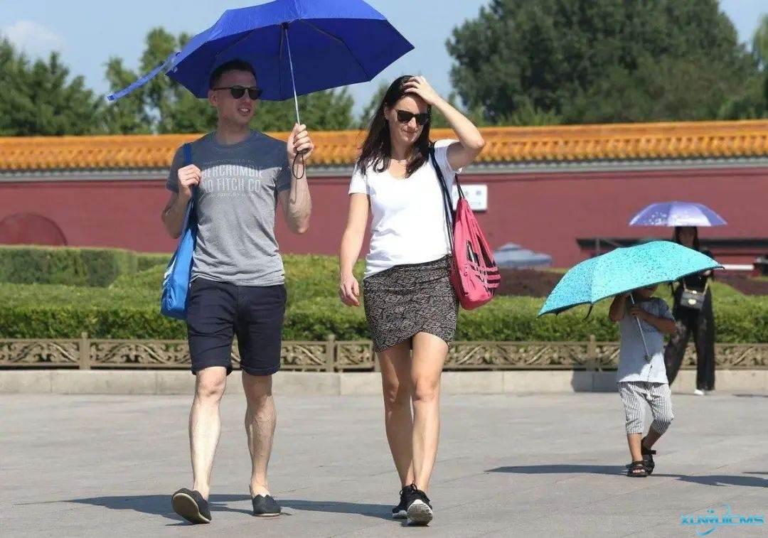 微信圖片_20241024165122 微信圖片_20241024165122