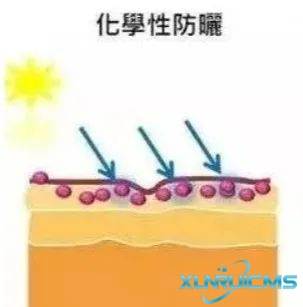 微信圖片_20241024165133 微信圖片_20241024165133