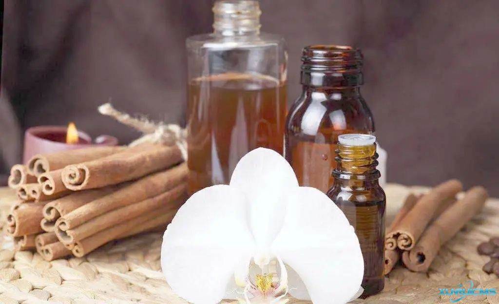 微信圖片_20241024172023 微信圖片_20241024172023