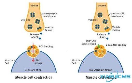 微信圖片_20241024213009 微信圖片_20241024213009